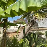 Design Avec Piscine , Jacuzzi , Clim Et Piano Villa Saturargues