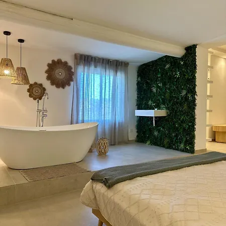 Design Avec Piscine , Jacuzzi , Clim Et Piano