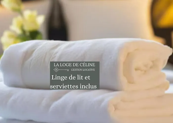 Design Avec Piscine , Jacuzzi , Clim Et Piano *